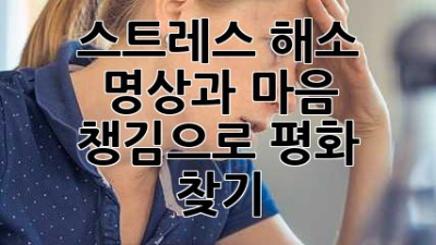 스트레스 해소: 명상과 마음 챙김으로 평화 찾기
