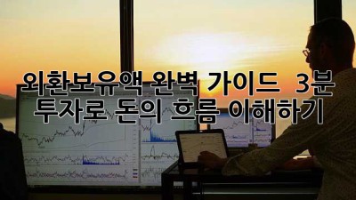 외환보유액 완벽 가이드 💰 3분 투자로 돈의 흐름 이해하기!