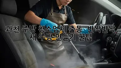 과천 주방 청소업체 출동! ✨ 반짝반짝 새 주방 만들기 꿀팁 🍯
